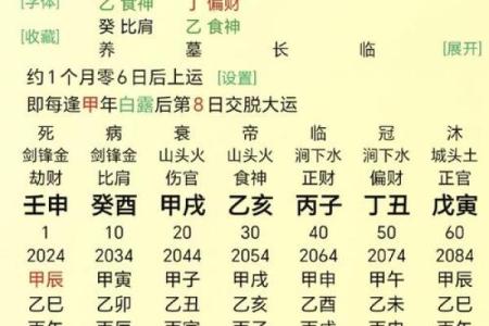 八字命宫查询表的使用方法与解读技巧