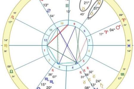 如何选择和使用排盘程序进行精准星座分析