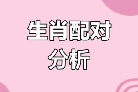 属蛇男和属兔女的婚配解析：性格与命运的相容与挑战