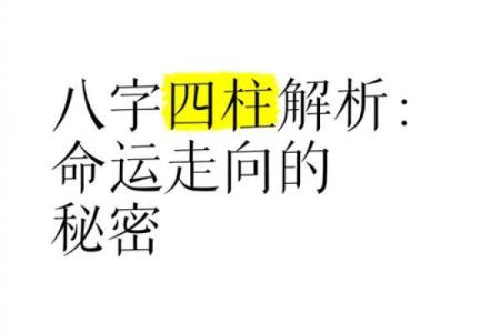 多亮命理解析：如何运用八字揭示人生方向