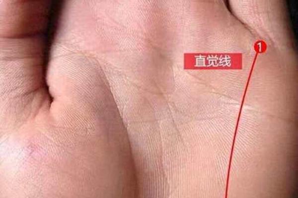 手相揭示人生轨迹，如何通过掌纹了解自己的未来