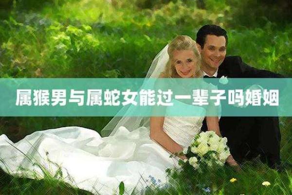 属蛇男和属蛇女是否天作之合 ？