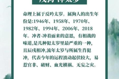 属狗与属龙在爱情中的相容性：命理解读