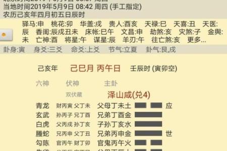元亨利贞网在线六爻排盘的使用技巧与解读方法