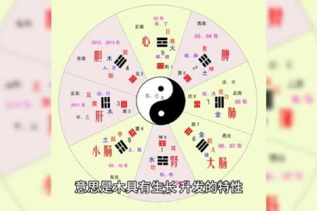 探索饿木命的五行特性与命理影响