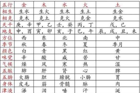 探讨马与马的婚姻：性格与命理的相生相克
