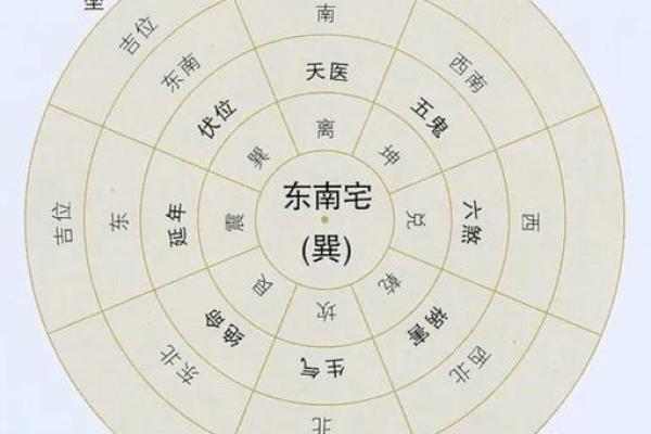 提升财运的风水布局：财位不可忽视的细节