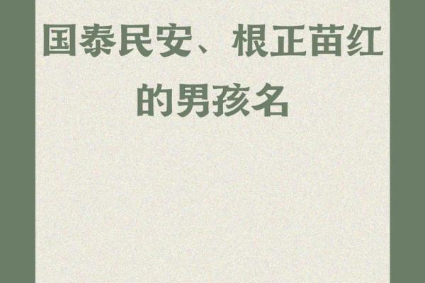 苗姓男孩起名技巧：独特又有内涵的名字灵感