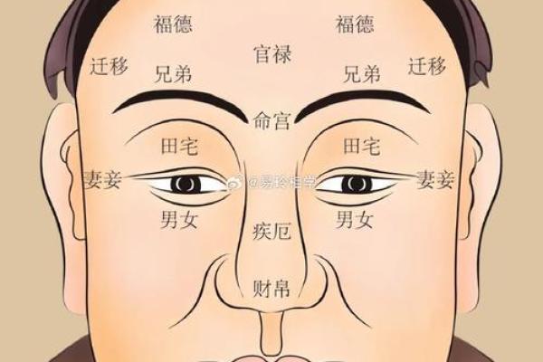 眉毛在面相学中的秘密与运势分析