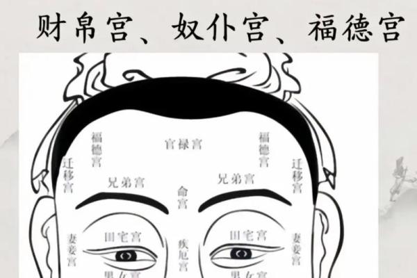 眉毛在面相学中的秘密与运势分析