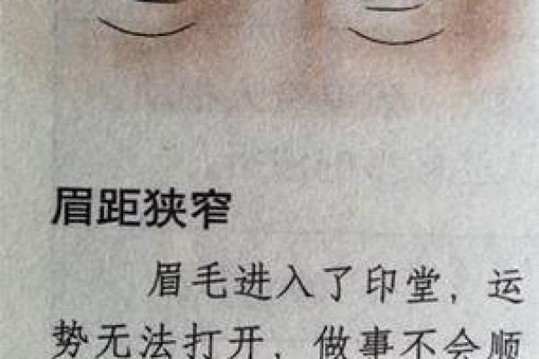 眉毛面相解析：揭示性格与命运的独特关联