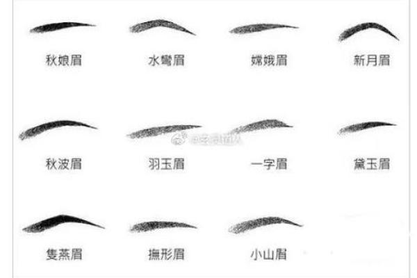 眉毛面相解析：揭示性格与命运的独特关联