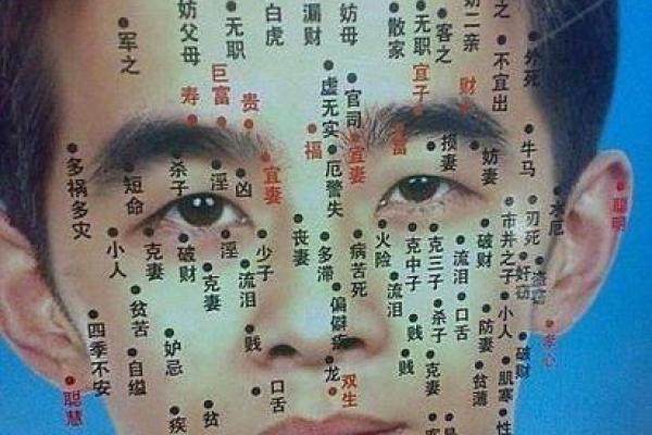 从面相看一个人是否拥有温和性格