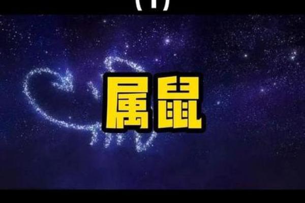 血财旺相之命的定义与解读：命理中的财富运势分析