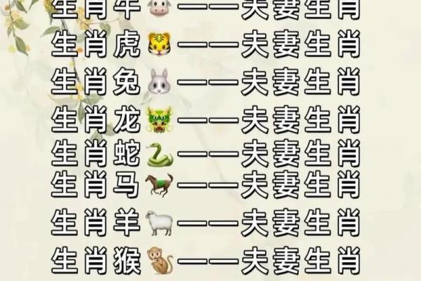 属兔女与属牛男的星座配对解析