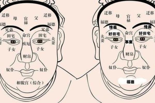 眉骨高的面相象征着什么？命运与性格解析
