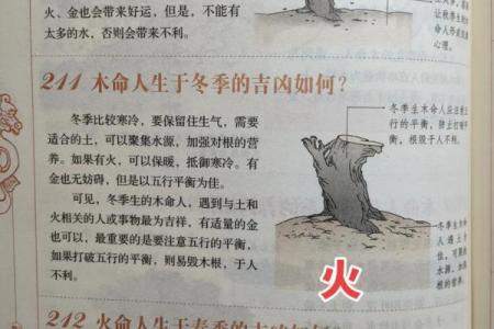 火命与水命的五行属性与生活运势详解