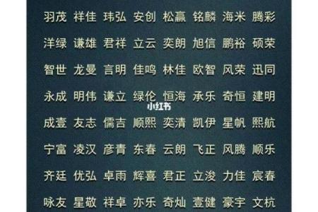 如何为三藏公司选择一个寓意深远的名字