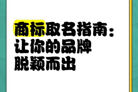 公司命名创意大全 让品牌从名字开始脱颖而出