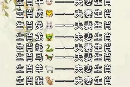 属兔女与属牛男的星座配对解析
