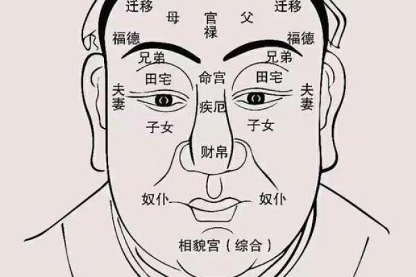 额头的秘密：通过面相看性格与事业运势