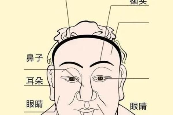 额头的秘密：通过面相看性格与事业运势