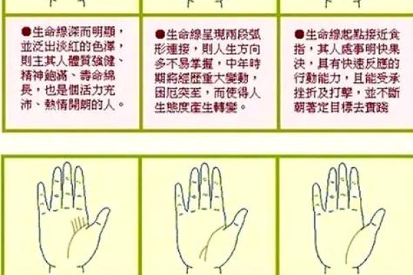 手相揭示儿女命运的秘密