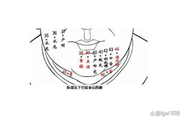 通过痣相解读人生中的关键转折点
