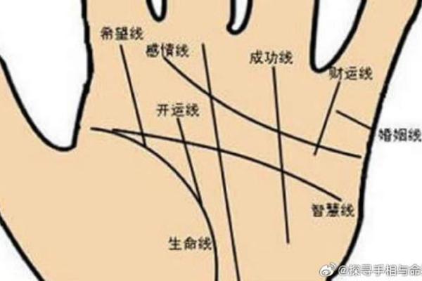 手相与面相解析：从细节看人生轨迹
