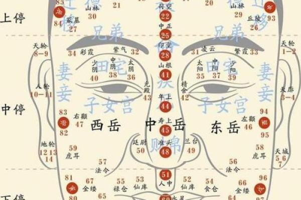 手相与面相解析：从细节看人生轨迹