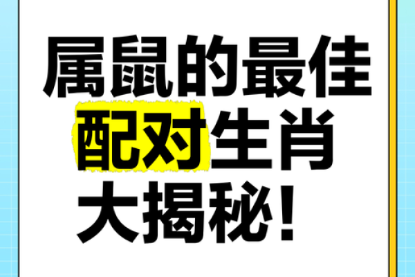 属鼠男与属牛女婚姻配对解析：天作之合还是各有挑战？
