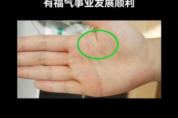 通过手机拍照，自动分析手相带来哪些惊喜