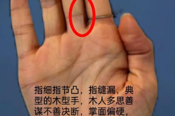 通过手机拍照，自动分析手相带来哪些惊喜
