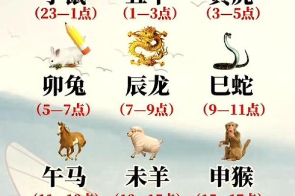 属虎女与属鼠男的性格差异与匹配度