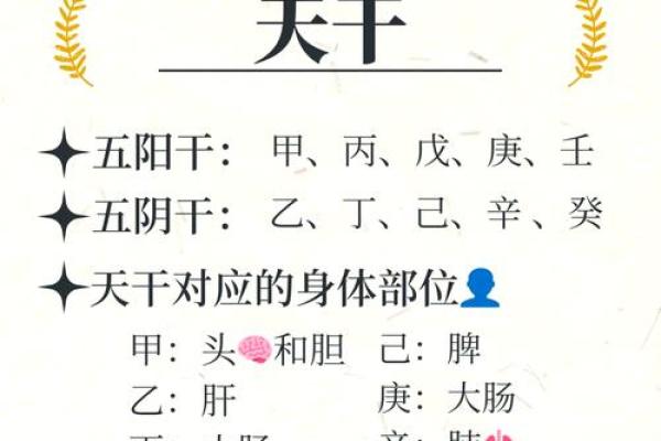 天干为用神在八字中的重要性与影响