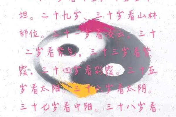 太阳穴面相解析：如何通过观察了解个人运势