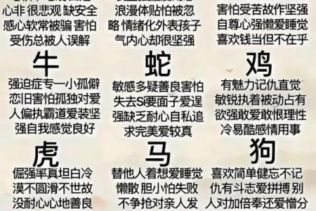 探究火命和水命的命理特点及其性格影响