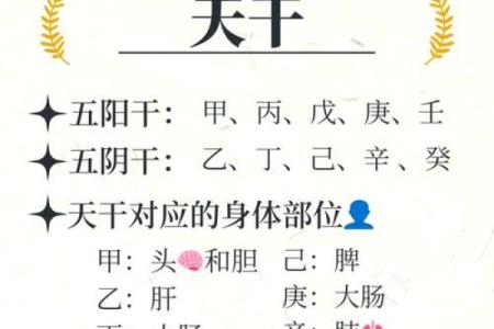 天干为用神在八字中的重要性与影响