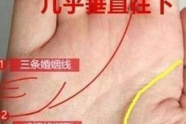 面相与手相解读：女性一生的运势与命运分析