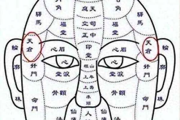 面相解读：从五官看你的财富运势如何