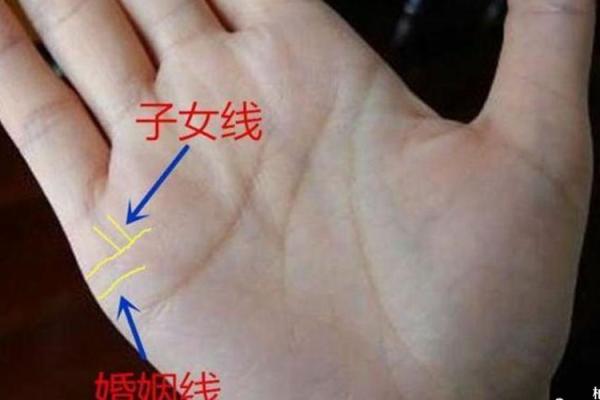 孕妇手相特征：预示着宝宝性别和性格吗？