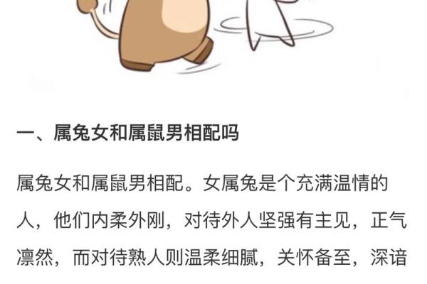 属龙与属兔的婚配解析：性格互补还是矛盾重重？