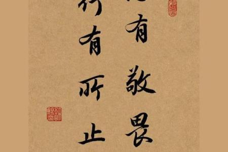 风水命与人生运势：一场命理与环境的对话