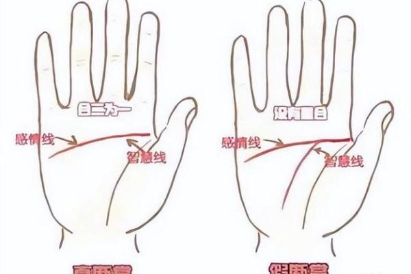 手相揭示命运的奥秘与人生轨迹