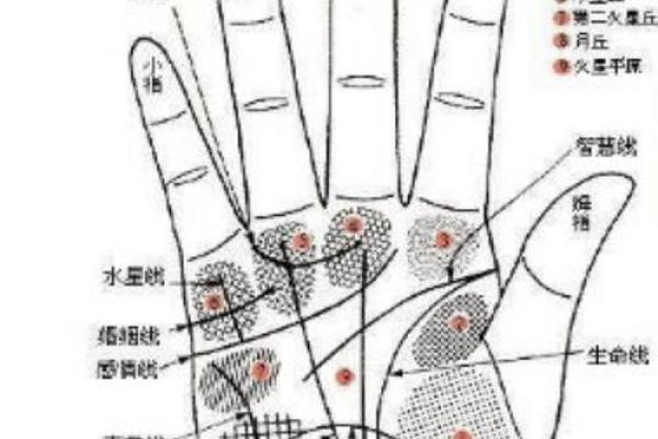 解密聪明至极的手相：从掌纹看智商