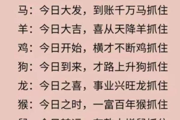 兔鼠相配婚姻能走多远？从性格到未来
