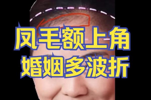 通过毛的面相理解个人命运与事业运势