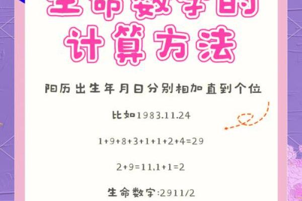 命理探索数字对命运的独特影响