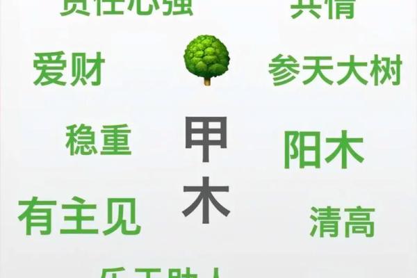天干的奥秘与文化传承探索