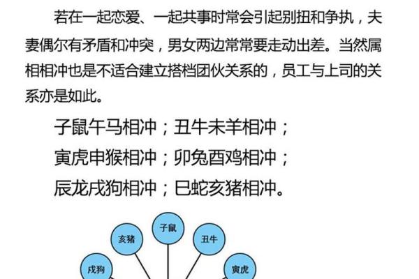 属兔男与属蛇女的性格差异及相处之道